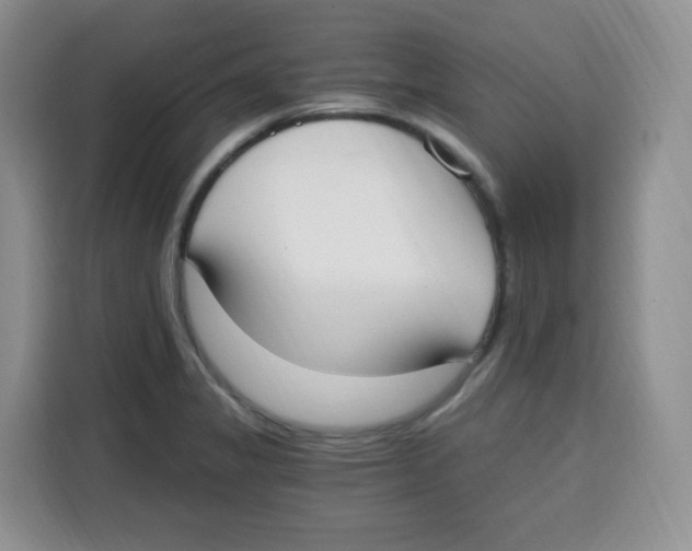 X0000115081325200911241134