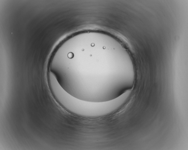 X0000115081326200911241134