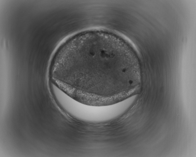 X0000115081327200911241134