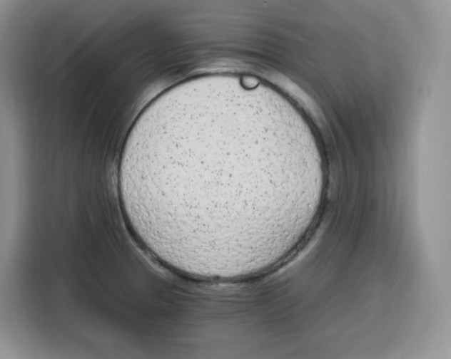 X0000115081329200911241134