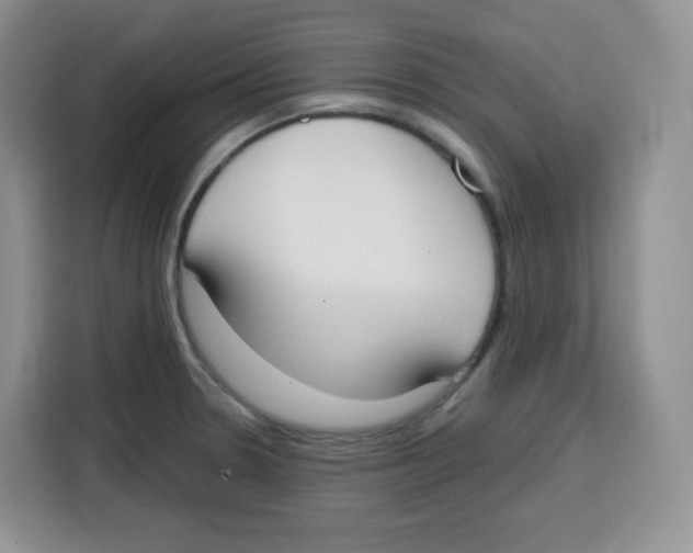 X0000115081330200911241134