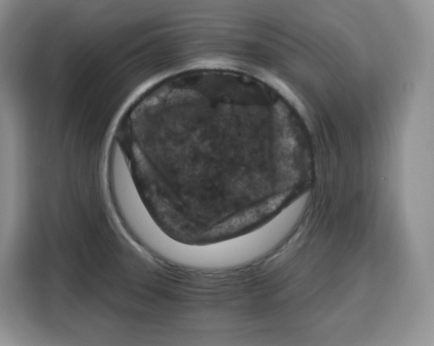 X0000115081331200911241134