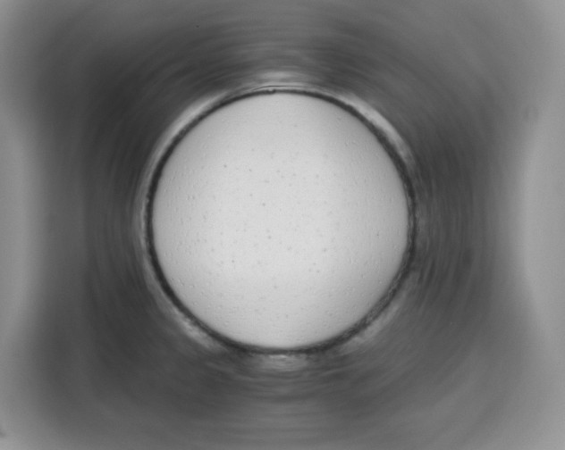 X0000115081333200911241134