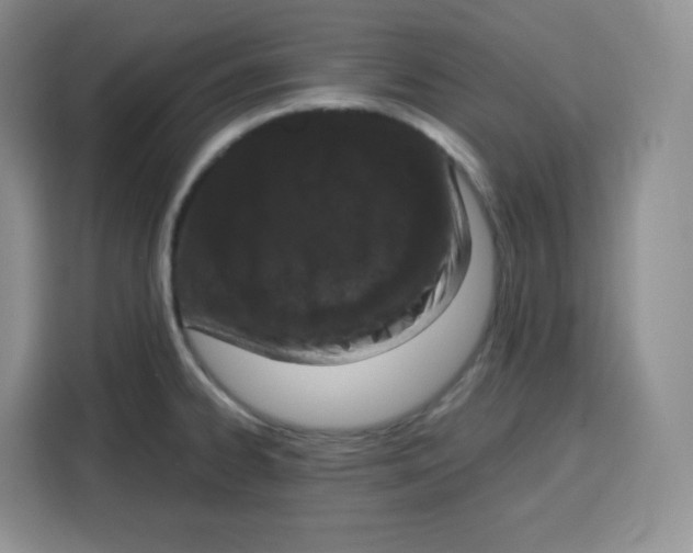 X0000115081334200911241134