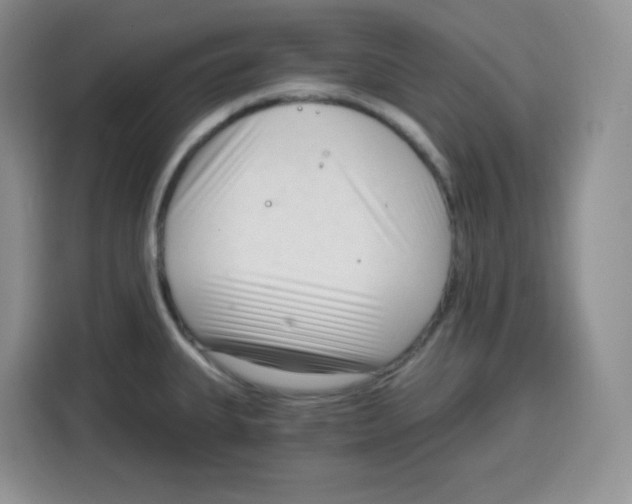 X0000115081335200911241134