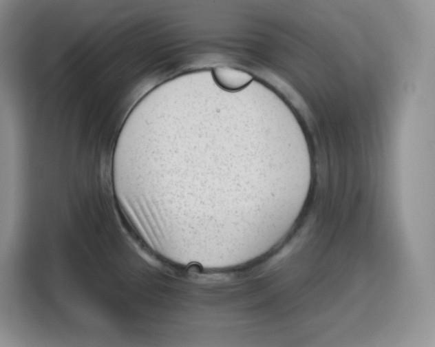 X0000115081337200911241134