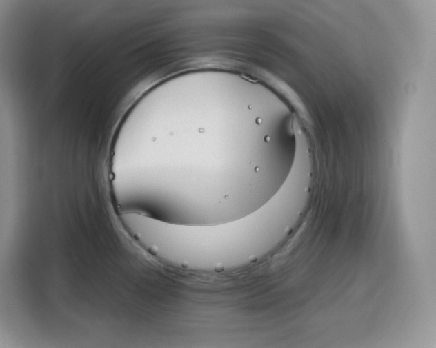 X0000115081338200911241134