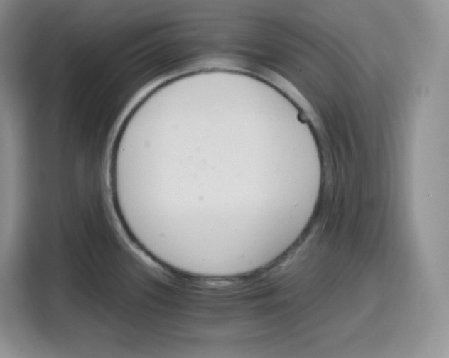 X0000115081339200911241134