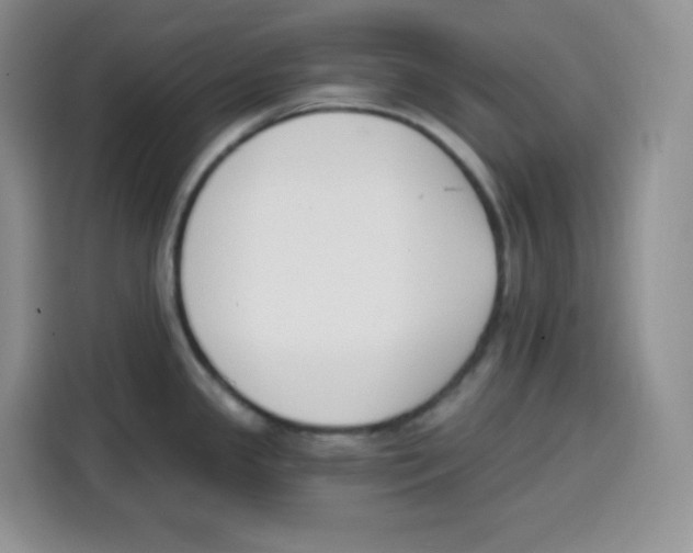 X0000115081341200911241134