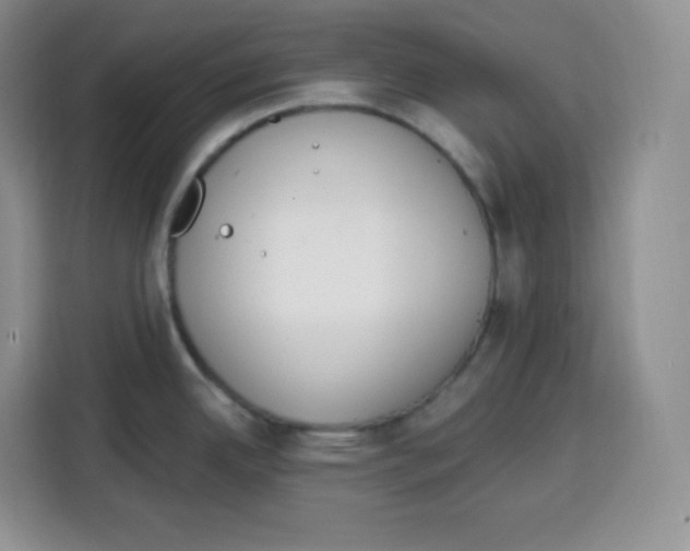 X0000115081342200911241134