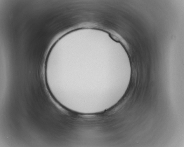 X0000115081343200911241134