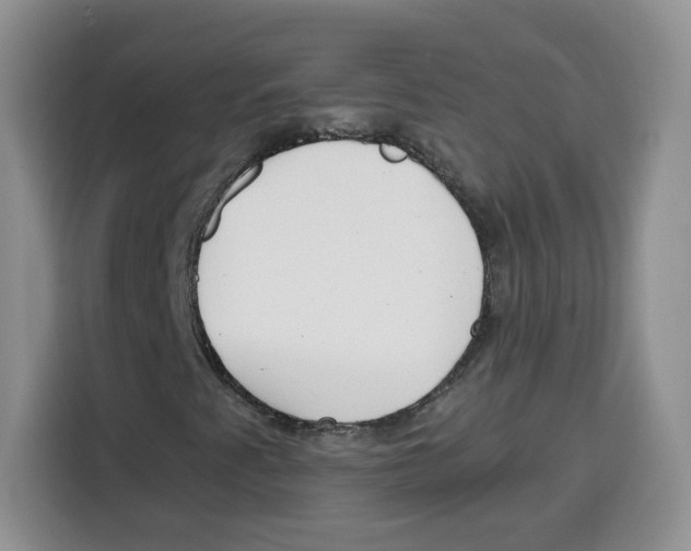 X0000115081345200911241134