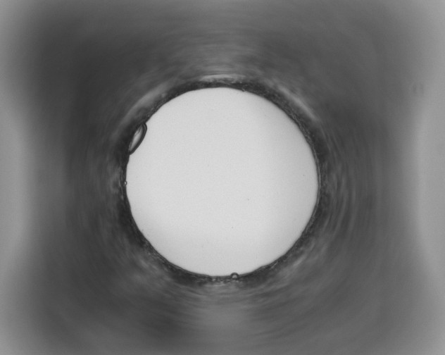 X0000115081351200911241134