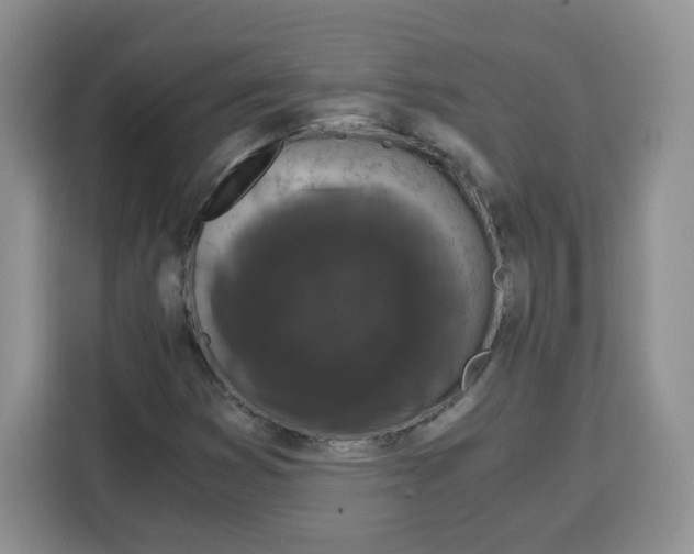 X0000115081353200911241134