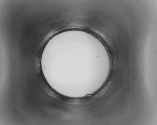 X0000115081355200911241134