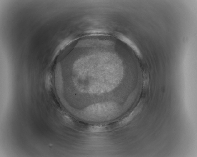 X0000115081357200911241134
