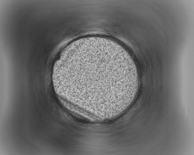 X0000115081359200911241134