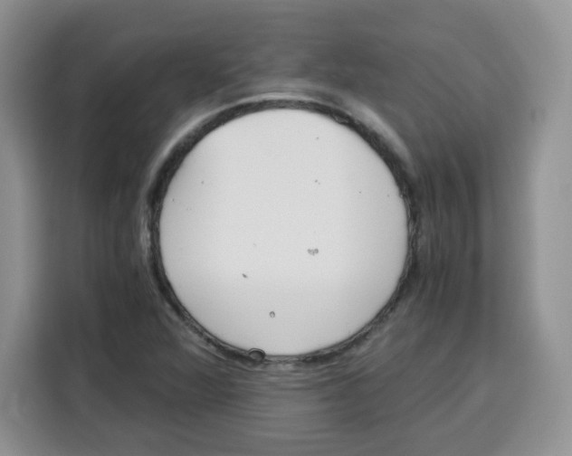 X0000115081360200911241134