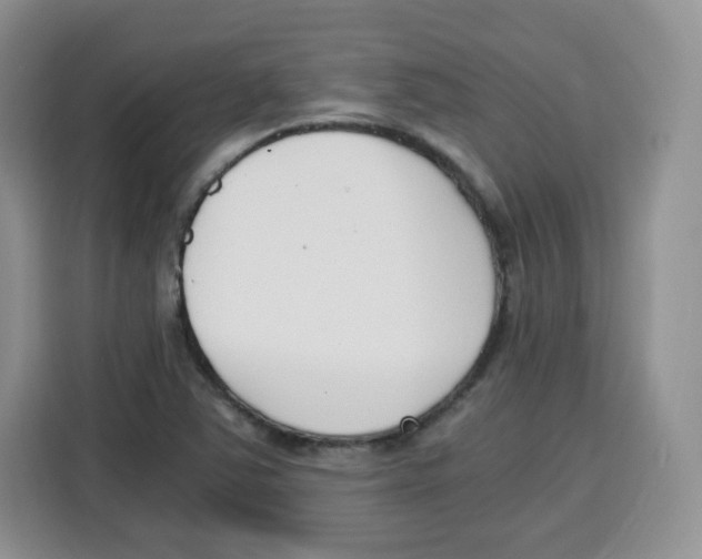 X0000115081363200911241134