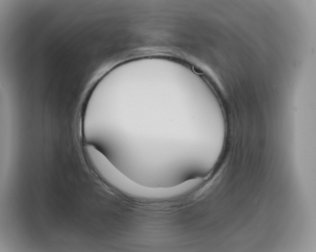 X0000115081365200911241134