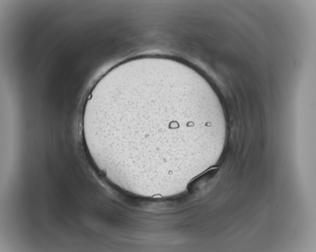X0000115081367200911241134