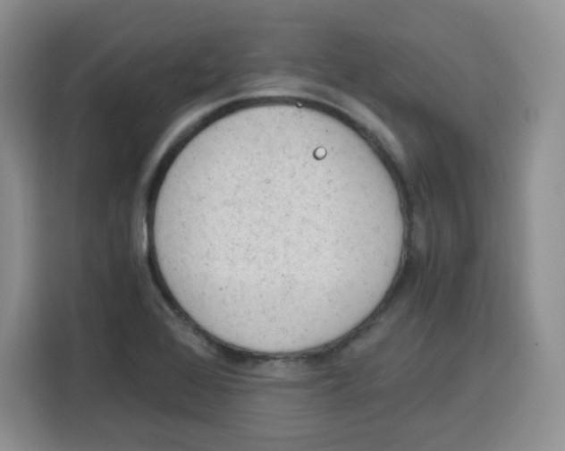 X0000115081368200911241134