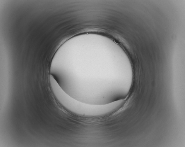X0000115081369200911241133