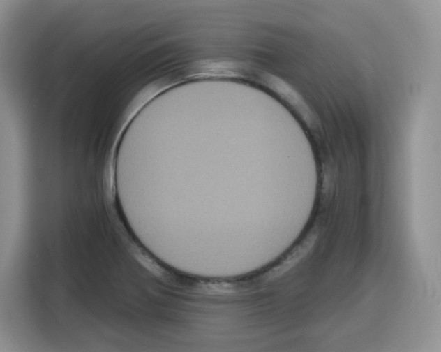 X0000115081370200911241133