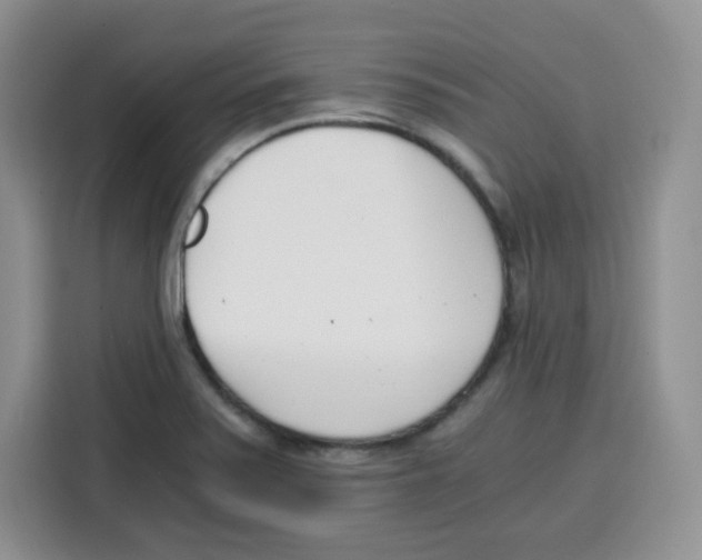 X0000115081371200911241133