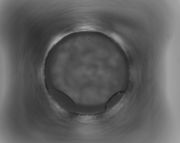 X0000115081373200911241133