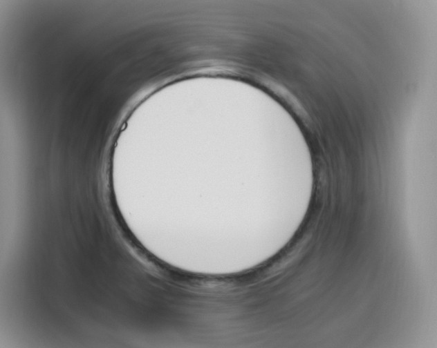X0000115081375200911241133