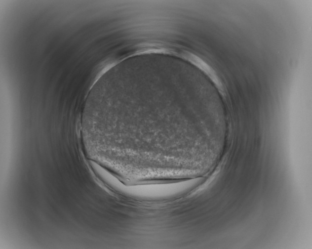 X0000115081377200911241133