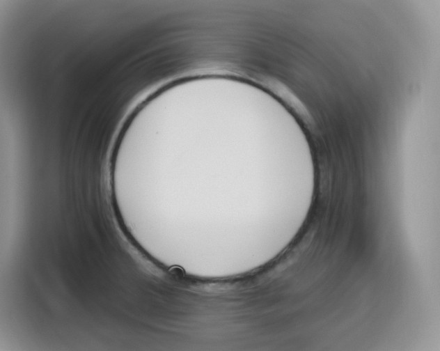 X0000115081380200911241133