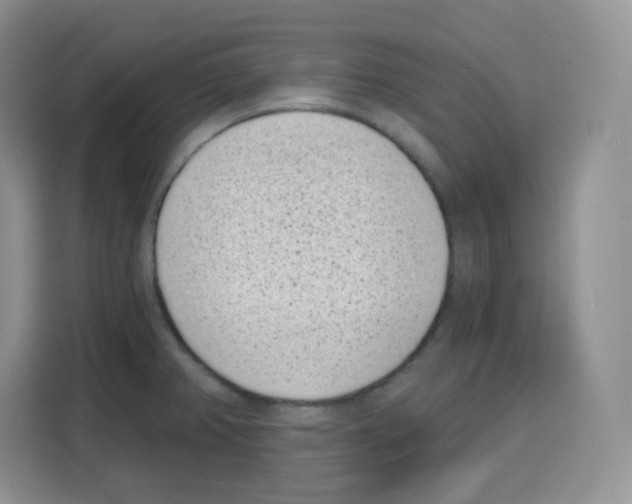X0000115081382200911241133