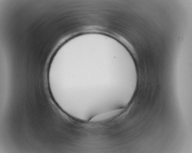 X0000115081384200911241133