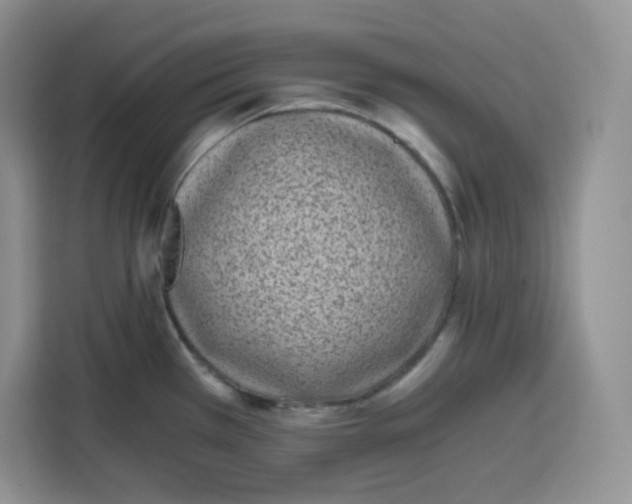 X0000115081385200911241133