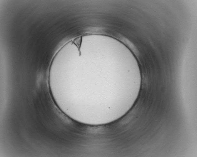X0000115081386200911241133