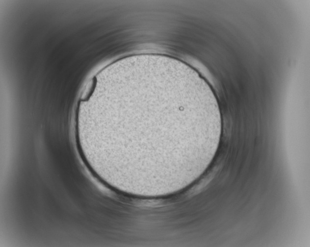 X0000115081387200911241133
