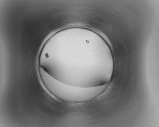 X0000115081389200911241133