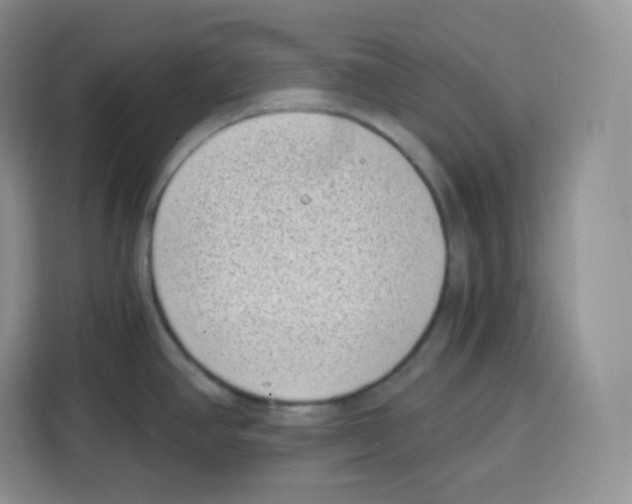 X0000115081390200911241133