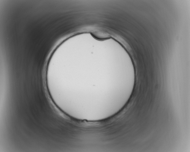 X0000115081392200911241133