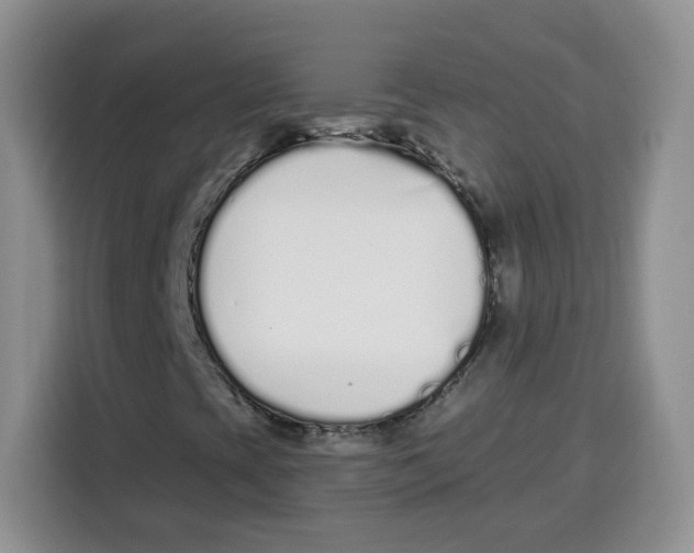 X0000115081393200911241133