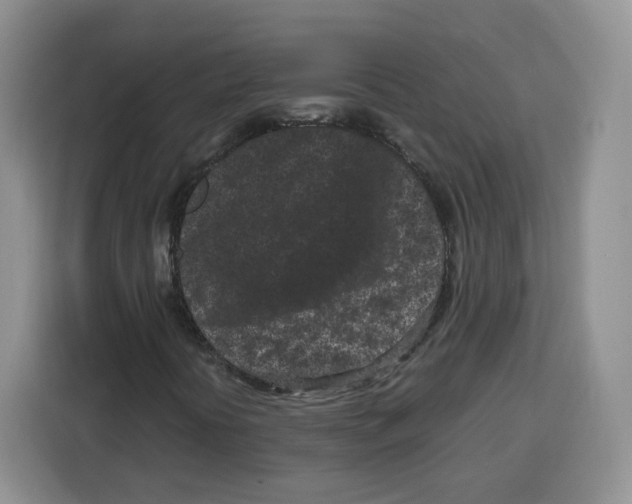 X0000115081394200911241133