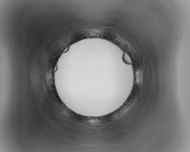 X0000115081395200911241133
