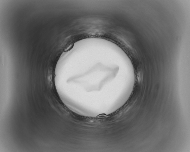 X0000115081396200911241133