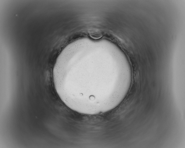 X0000115081397200911241133