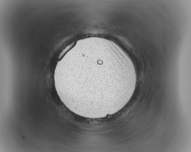 X0000115081398200911241133