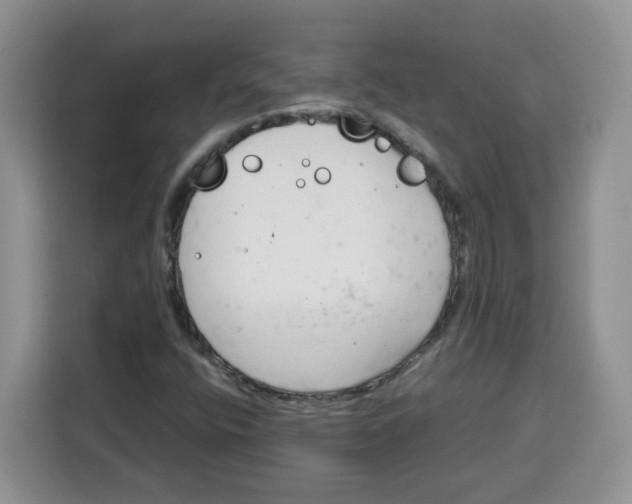 X0000115081400200911241133