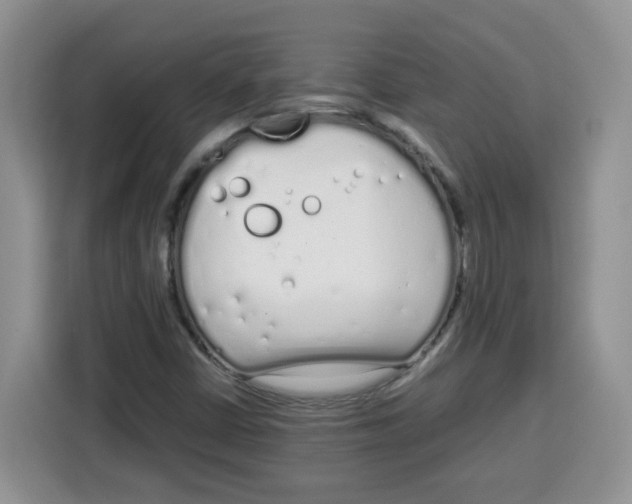 X0000115081402200911241133