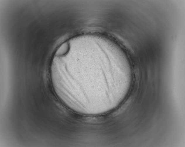 X0000115081405200911241133